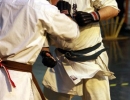 bild_5118.jpg