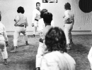 041.jpg