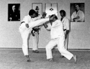 070-2.jpg