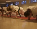 2009 Gradering