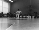 017-4.jpg